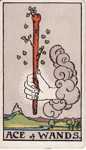 Ace of Wands tarot card