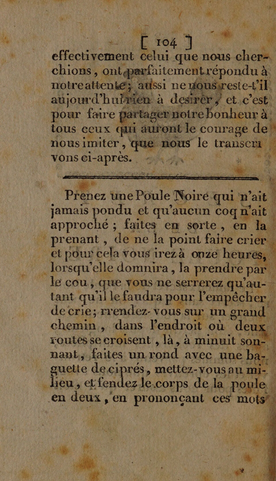 French text opening the short Black Pullet operation on numbered page 104